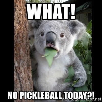 Pickleball Addiction Memes - No Pickleball Today?