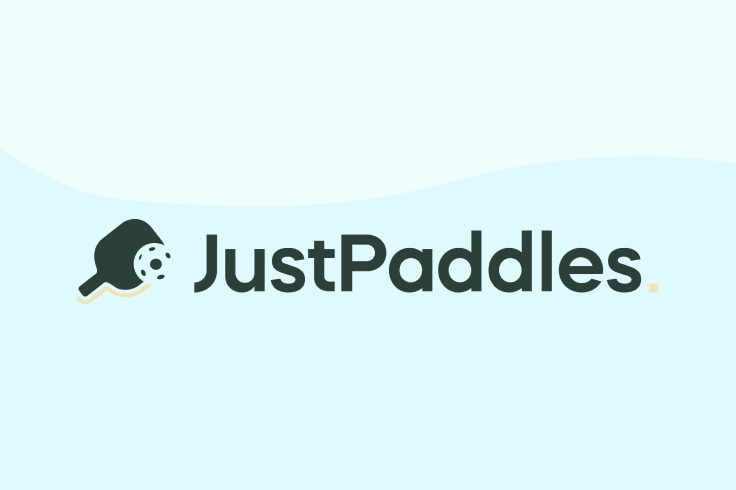 Get Used Pickleball Paddles Tips For Budget Conscious Pickleheads 