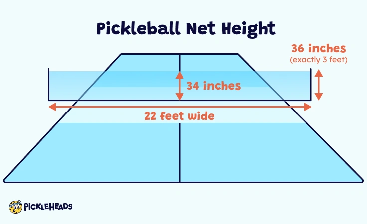 Pickleball Net Height Here s What The Rulebook Says Pickleheads