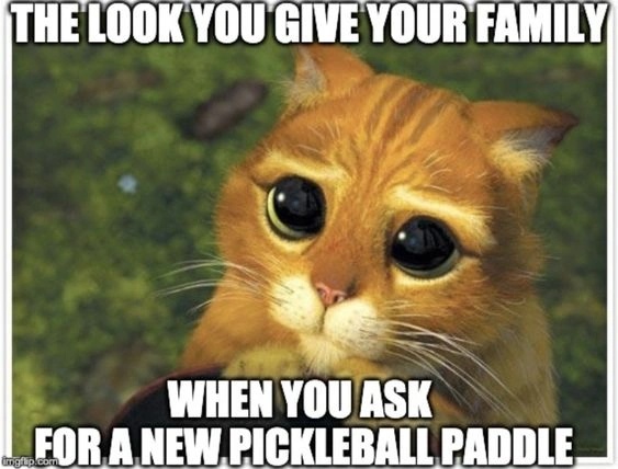 Pickleball Birthday Memes - Pickleball Paddle Gift