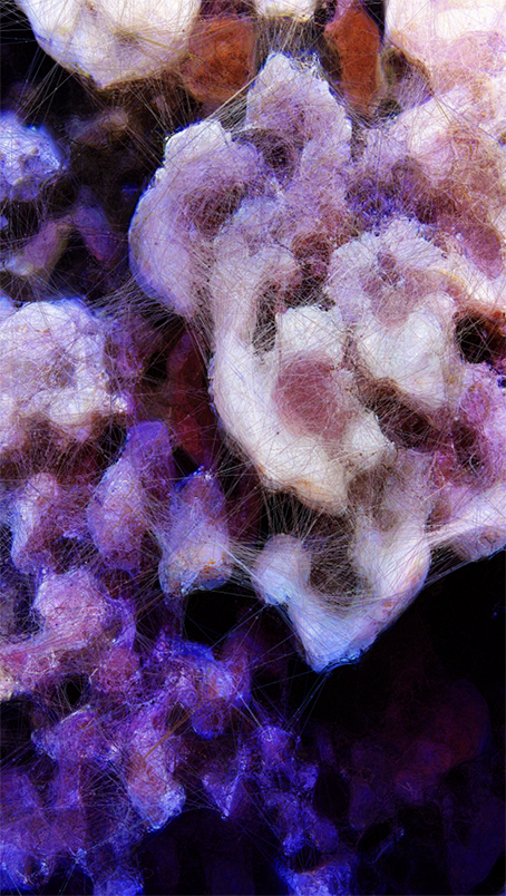 Refik Anadol | Machine Hallucinations: Coral