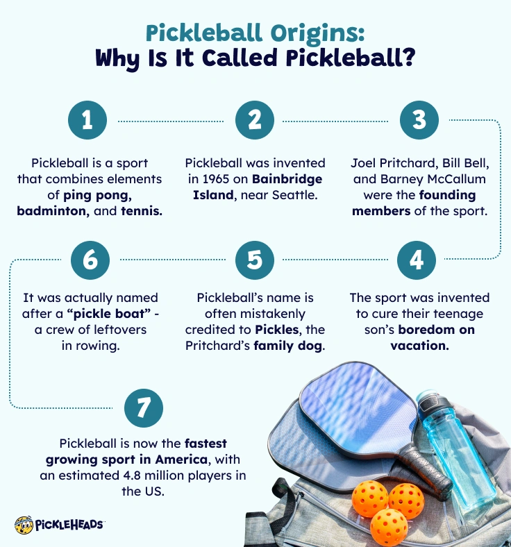 Pickleball Origins Why Is It Called Pickleball? Pickleheads