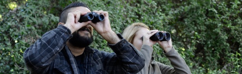 How to Select the Right Binocular