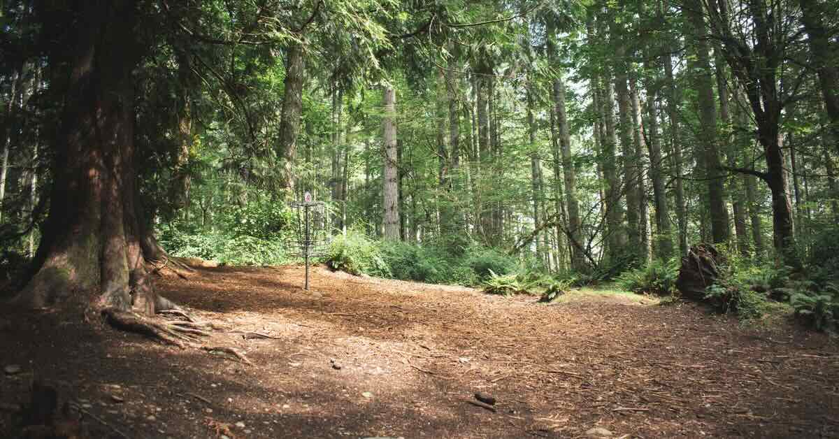 A disc golf basket in a very wooded area surrounded by a cleared area of dirt and wood chips