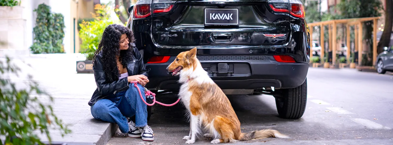 Como llevar a un perro de viaje en auto