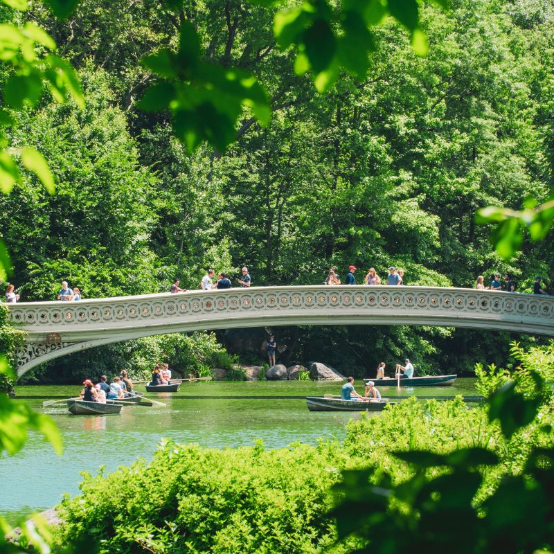 Bridge in Central Park