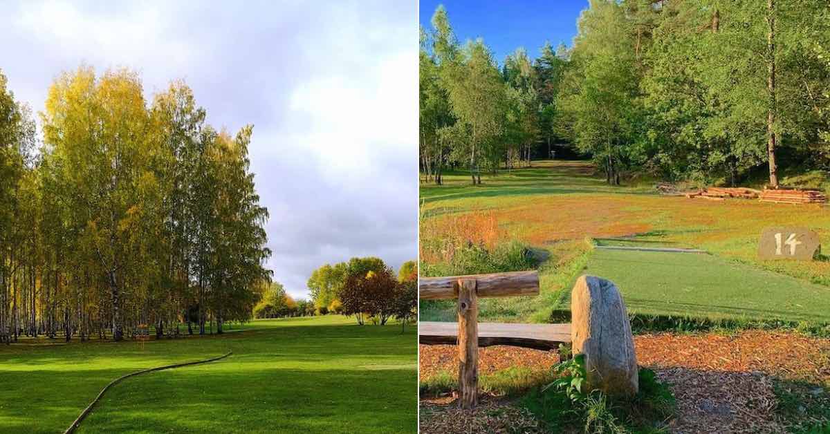 Images of two disc golf courses in Sweden that are partially open with slim birch trees