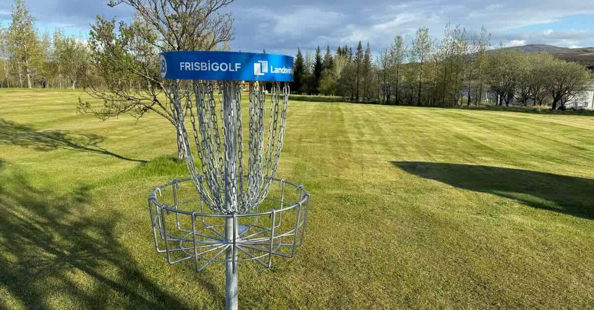 A blue-banded disc golf basket in a mown area