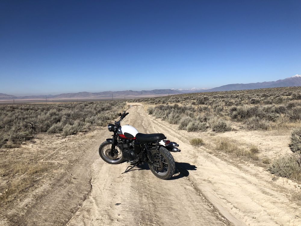 2007&nbsp;Triumph Scrambler – Bryce. A