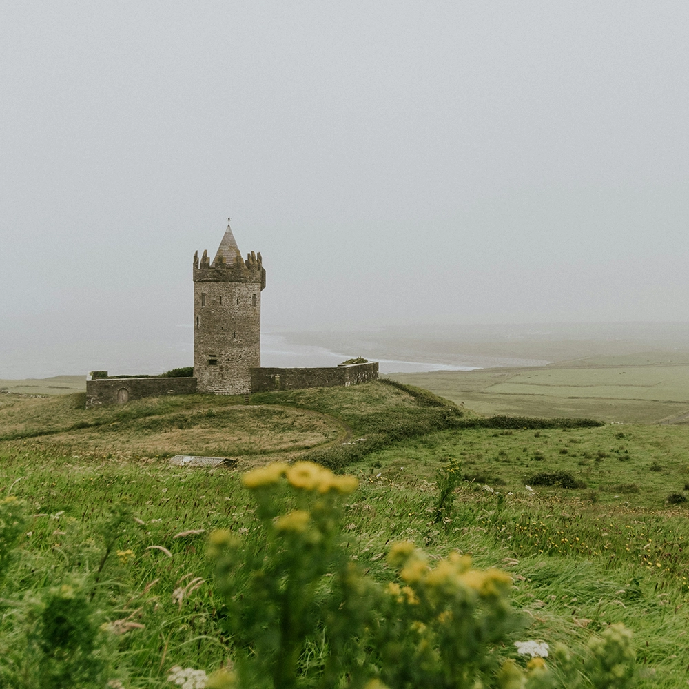 CastleontheHill.webp