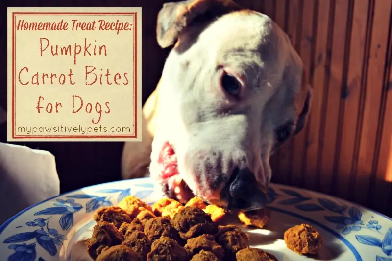 pumpkin-carrot-bites.mypawpet (1).webp