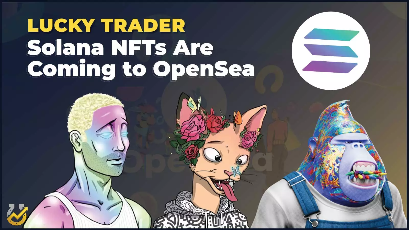 Solana NFTs Are Coming to OpenSea