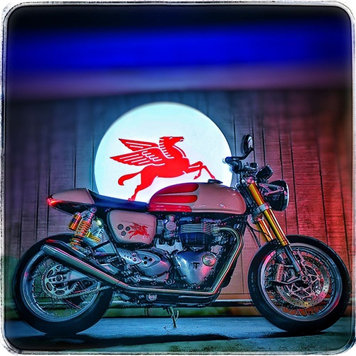 Chris Geerdes's 2016 Triumph Thruxton 1200 R.jpg