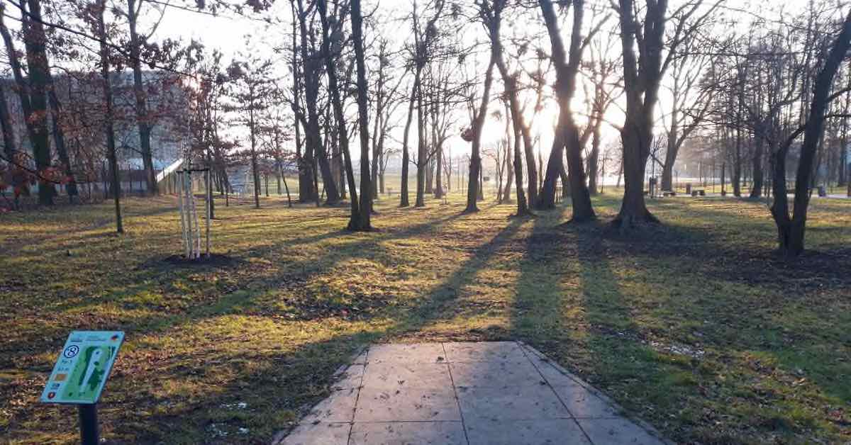 Tee pad into scattered trees in a park