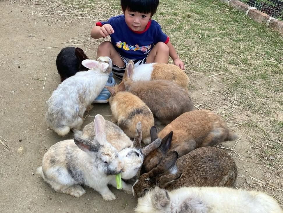 小白兔農莊 Bunny Wonderland