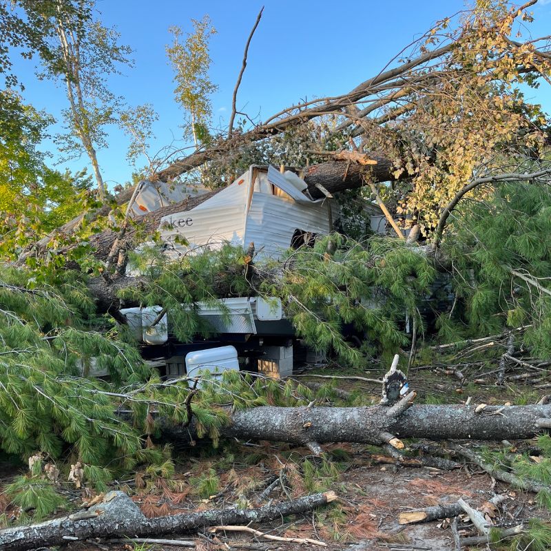 Trees fallen on a house after a tornado