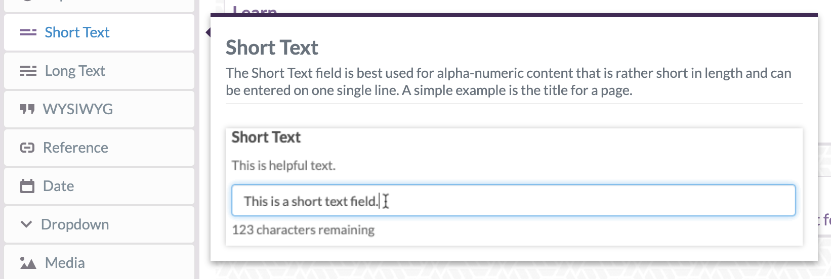 Screenshot: ButterCMS short text field