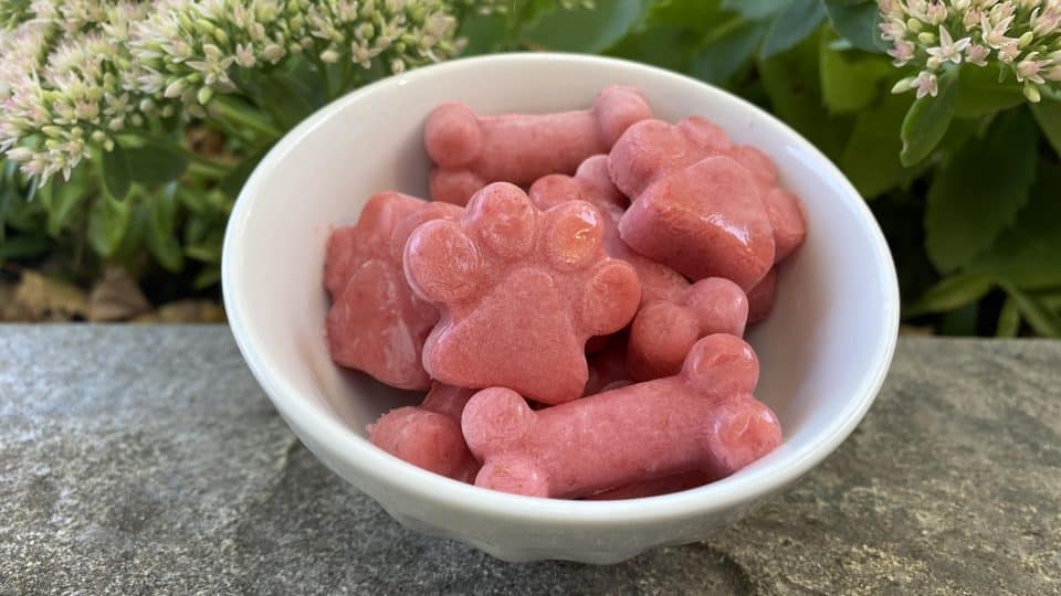 Frozen-Strawberry-Yogurt-Dog-Treats-min-960x540.jpeg