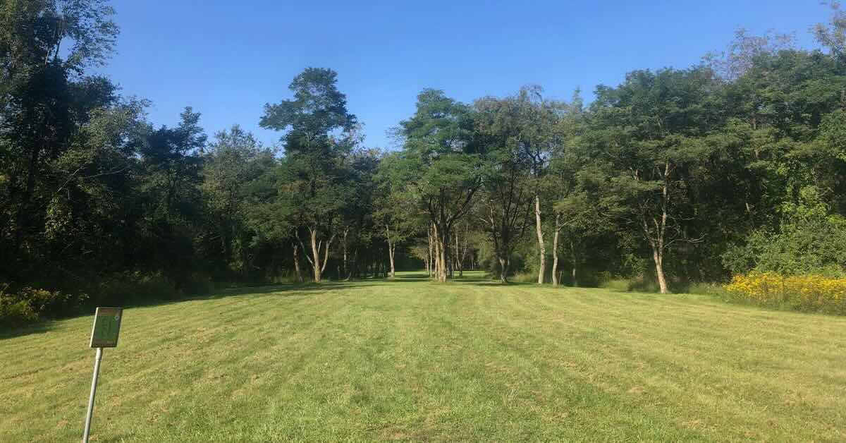 An open, mown area of a disc golf fairway leads to a smaller gap between mature trees