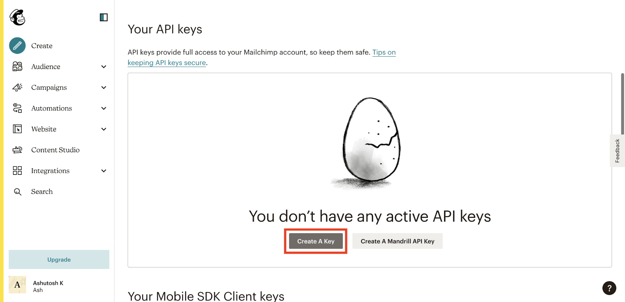 Screenshot: Mailchimp create API Key 