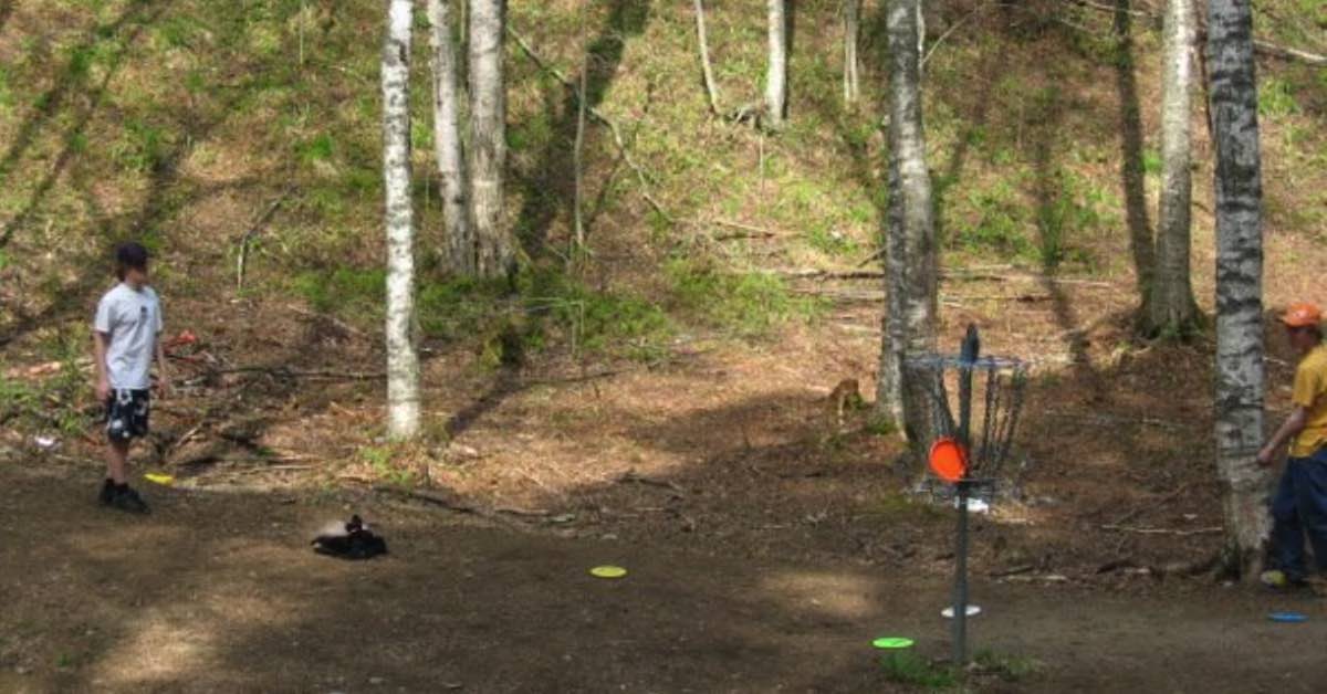 An older photo of people putting at a disc golf basket in a wooded area