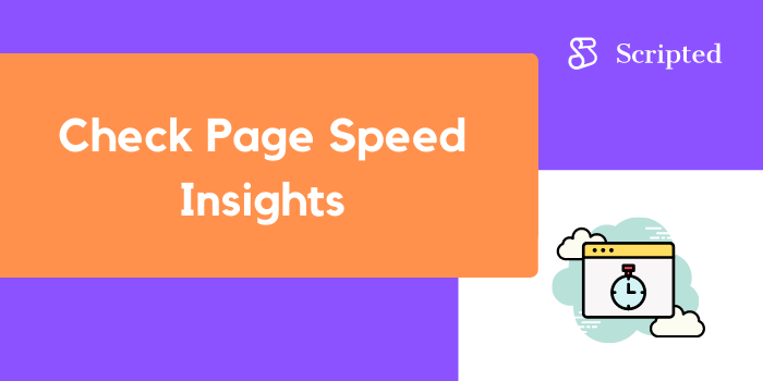 Check Page Speed Insights
