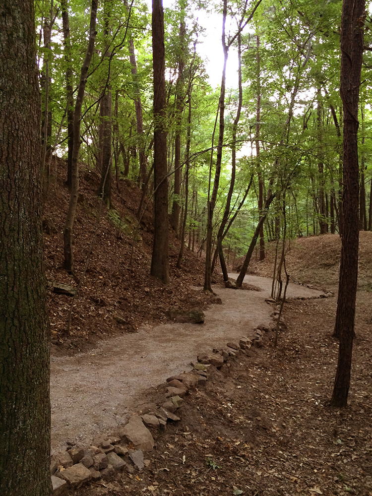 Trail in the forest at Red Mountain Park