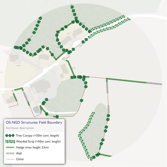 OS Field Boundary categories, including Tree Canopy, Wooded Strip, Hedge and more