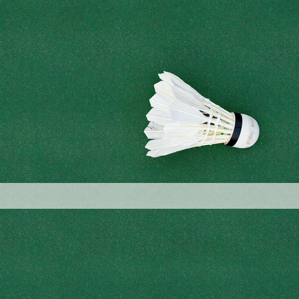 Giant badminton shuttlecock