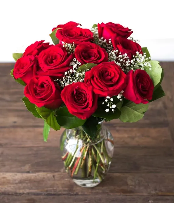 one dozen red roses