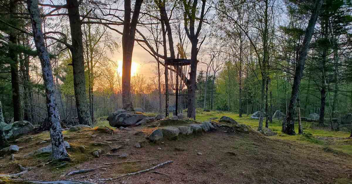 Sunset in a wooded area with a disc golf basket in the center of the photo