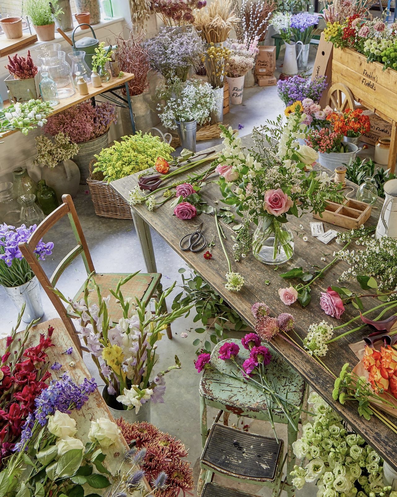 Fresh Flowers Subscription Service Freddie’s Flowers UK