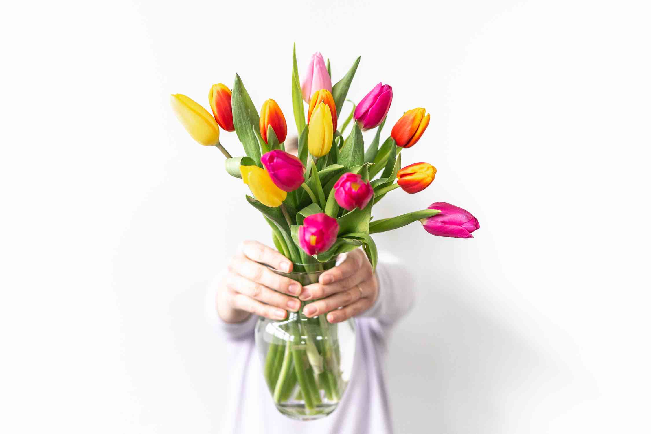 Bouquet of Tulips