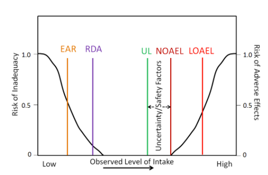 safe levels of micronutrients