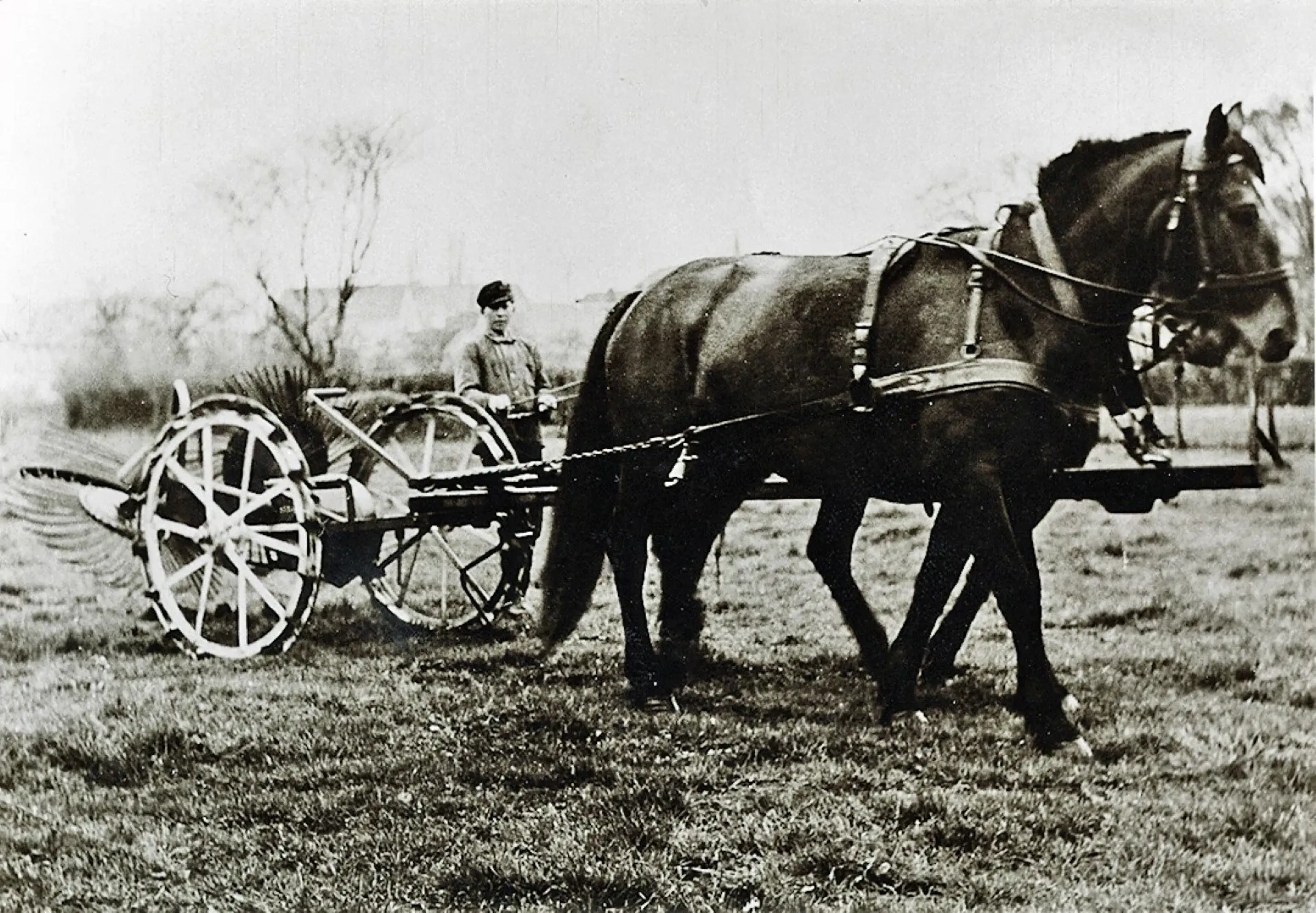Fotografia histórica de um agricultor com uma colhedora de batatas puxada a cavalo.