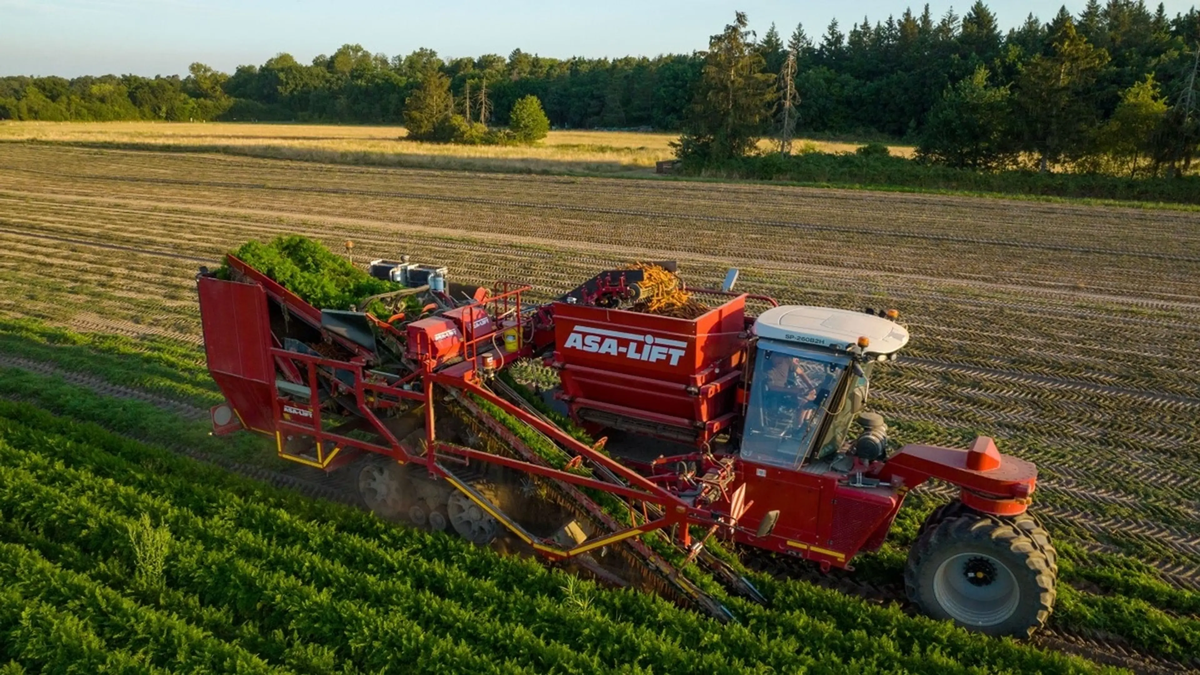 ASA-LIFT Maschine erntet Karotten