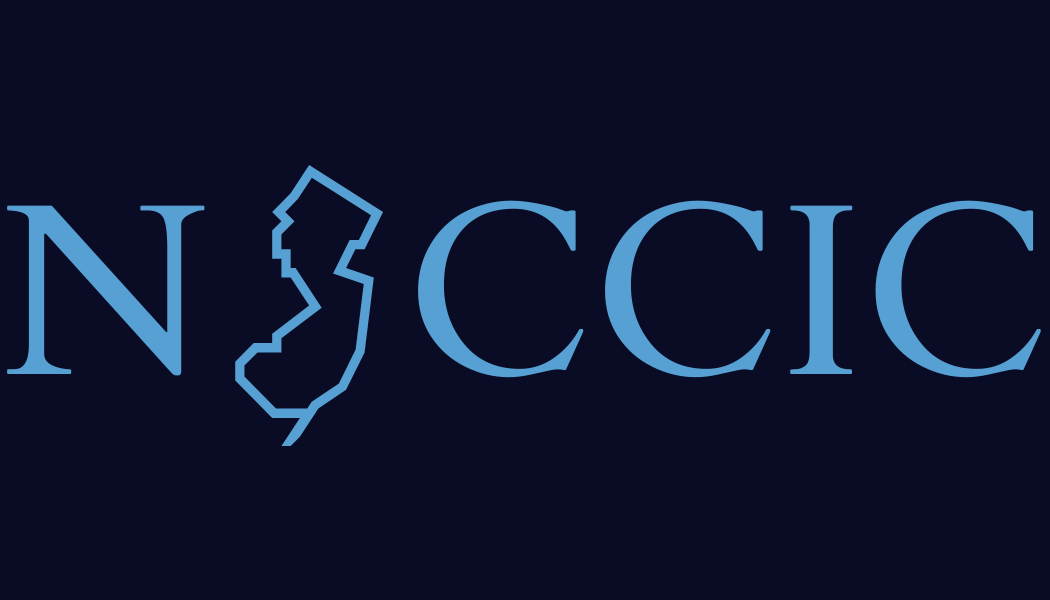 NJCCIC alternative logo