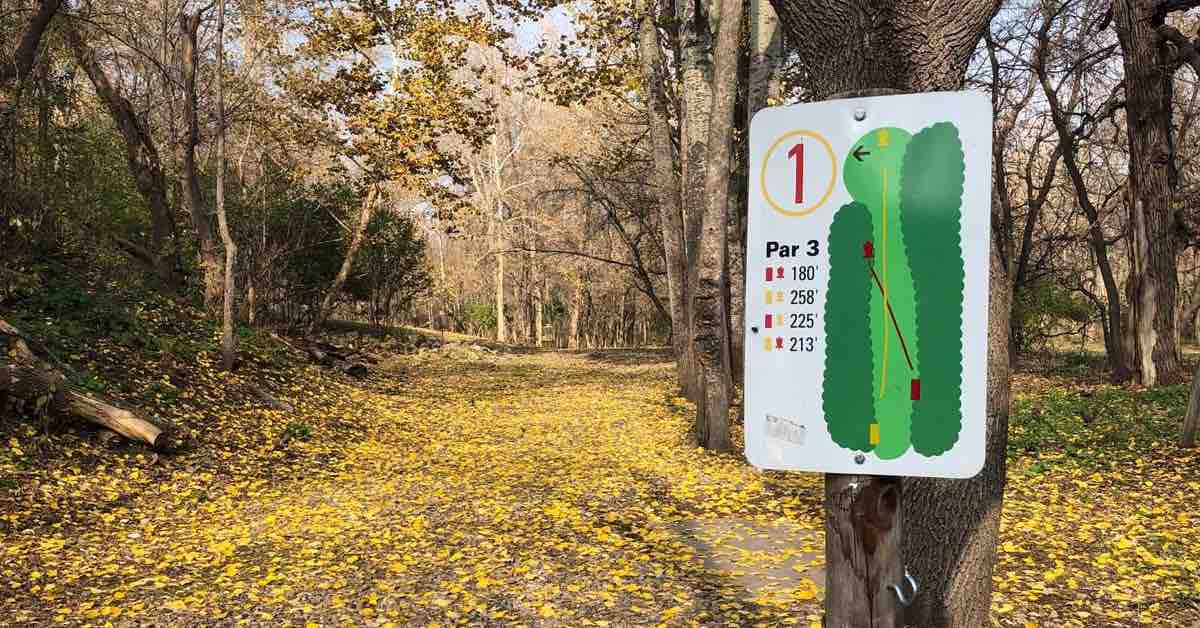 Disc golf hole map mounted on tree with wooded fairway covered in golden fall leaves in background
