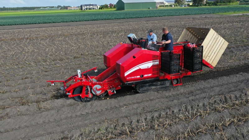 The sweet potato harvester 