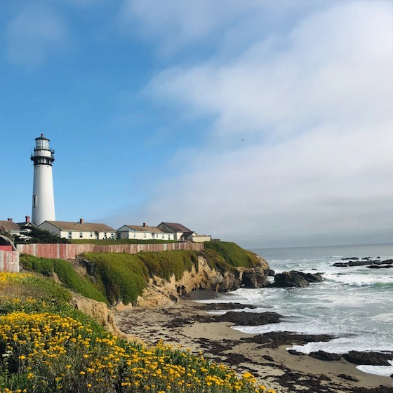 Pigeon Point State Park.webp