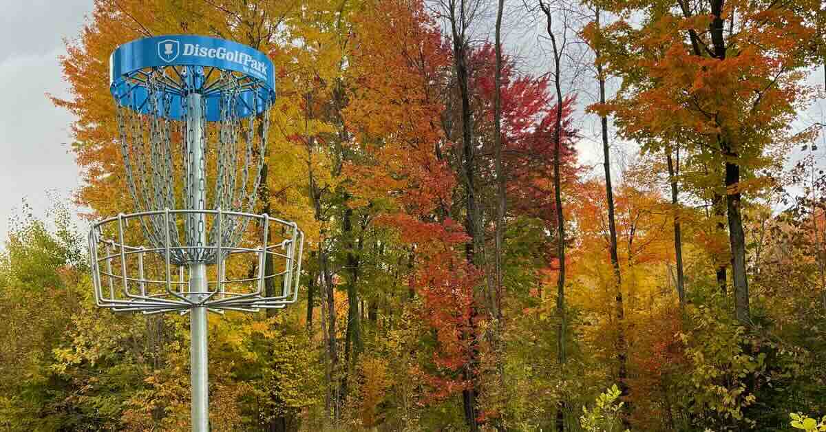 Disc golf basket with fall leaves in background