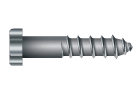 Lag Screws and Lag Screw Shields at Fastener SuperStore