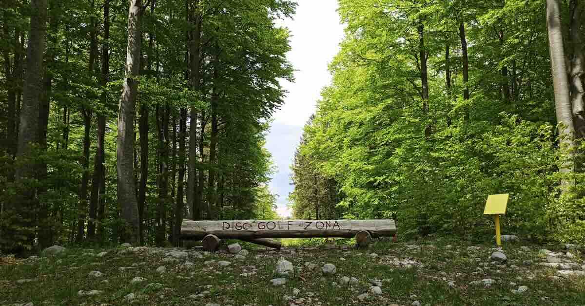 A bench made of wood in a forested area