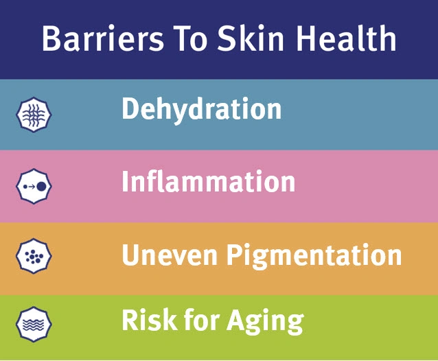 barriers to skin health