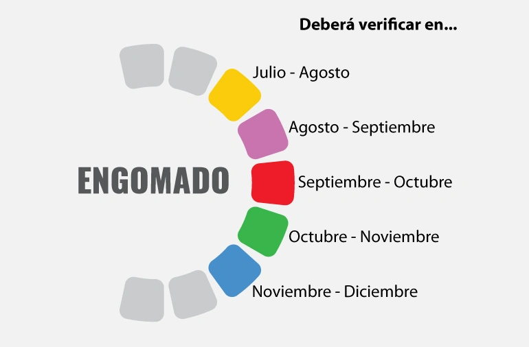 Calendario Verificentro Puebla