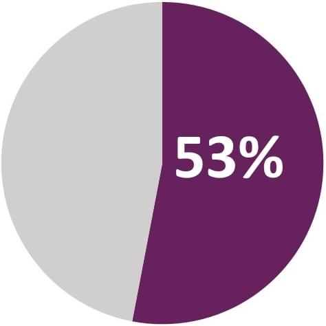 pie graph showing 53% in purple