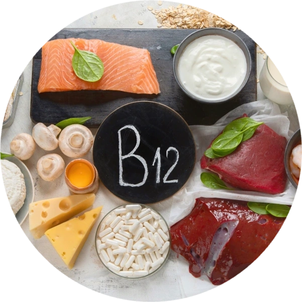 Exploring the Benefits of Vitamin B12