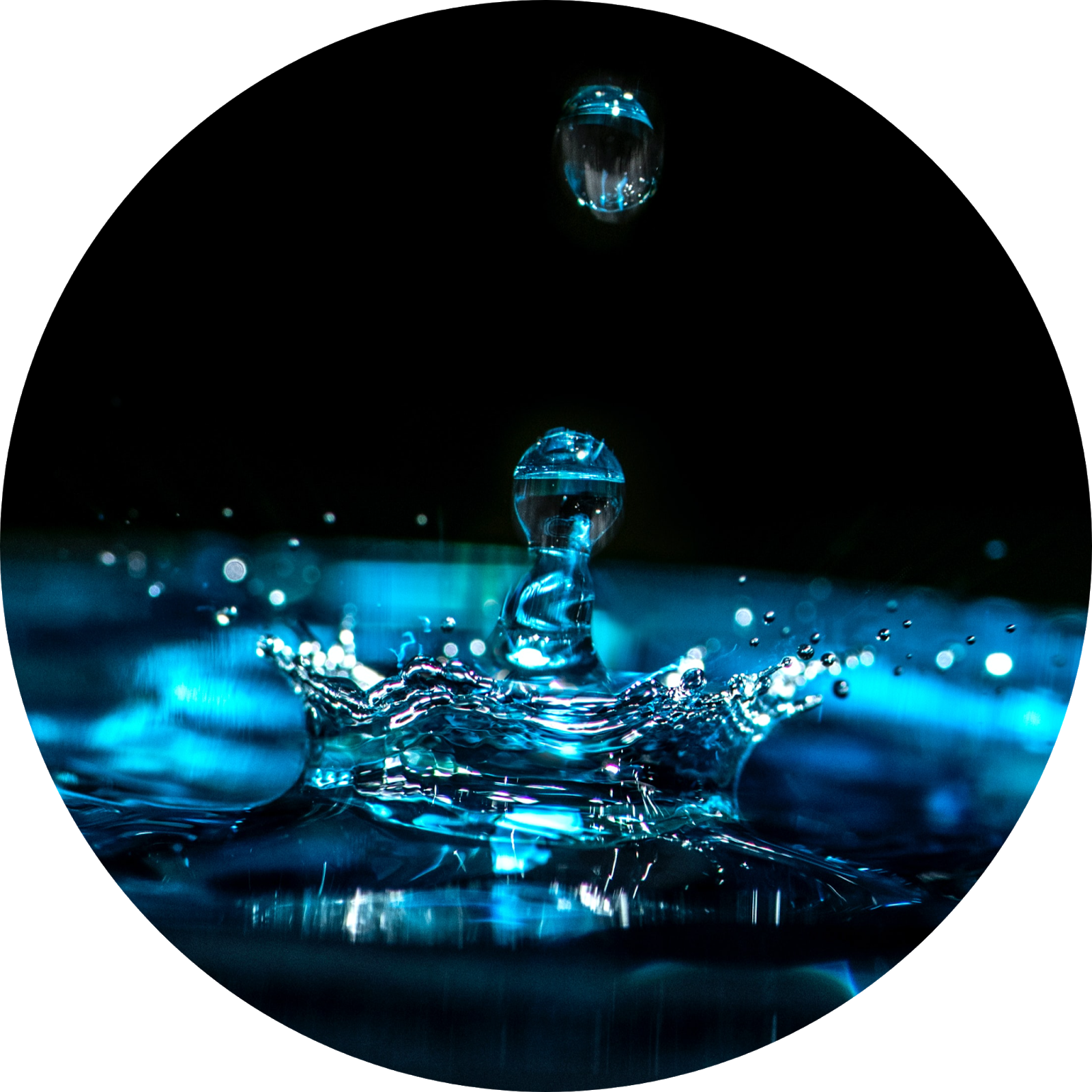 Ginger, Garlic, and Honey For Erectile Dysfunction Do They Work