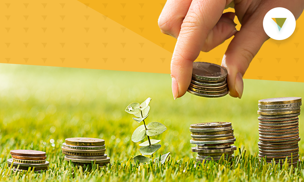 Quarters on ground with plants.