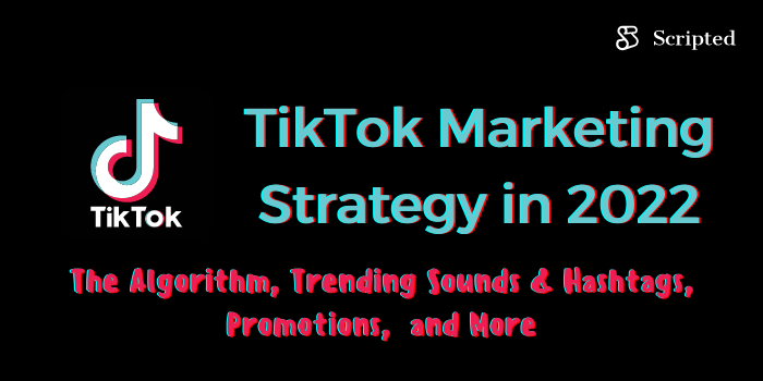 TikTok Marketing Strategy in 2022 for Creators & Businesses